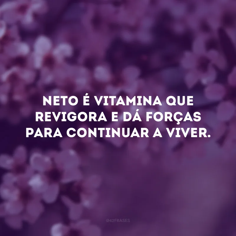 Neto é vitamina que revigora e dá forças para continuar a viver.
