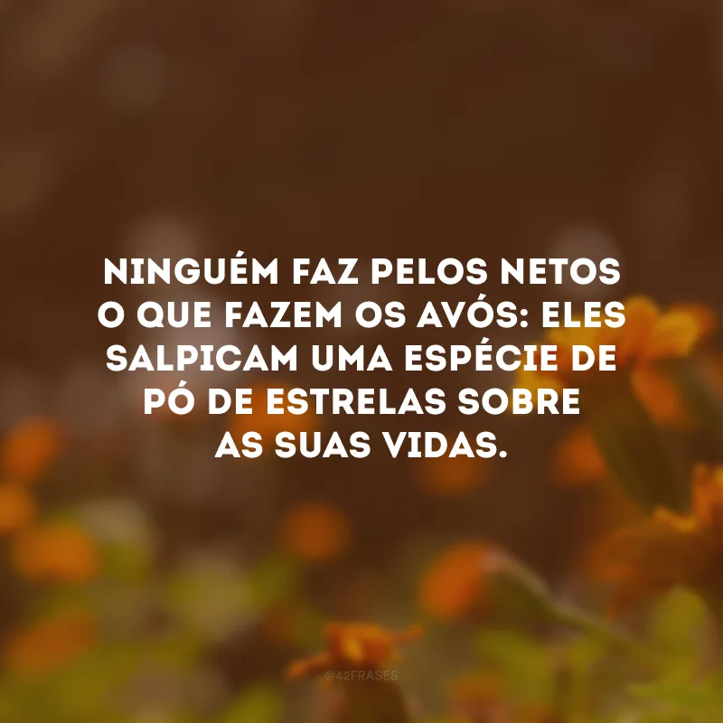Ninguém faz pelos netos o que fazem os avós: eles salpicam uma espécie de pó de estrelas sobre as suas vidas.