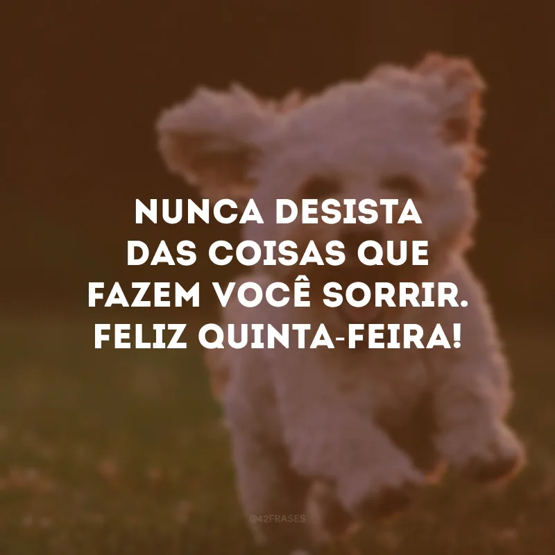 Nunca desista das coisas que fazem você sorrir. Feliz quinta-feira!