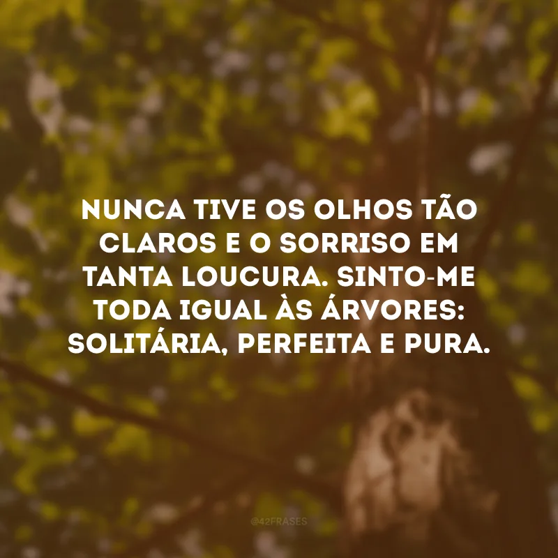 Nunca tive os olhos tão claros e o sorriso em tanta loucura. Sinto-me toda igual às árvores: solitária, perfeita e pura.

