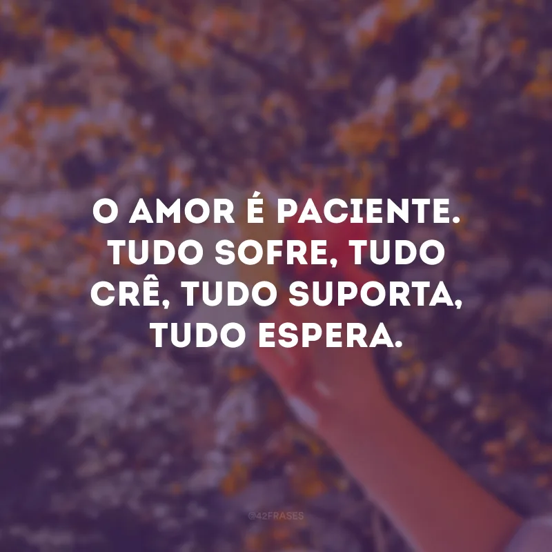 O amor é paciente. Tudo sofre, tudo crê, tudo suporta, tudo espera. 