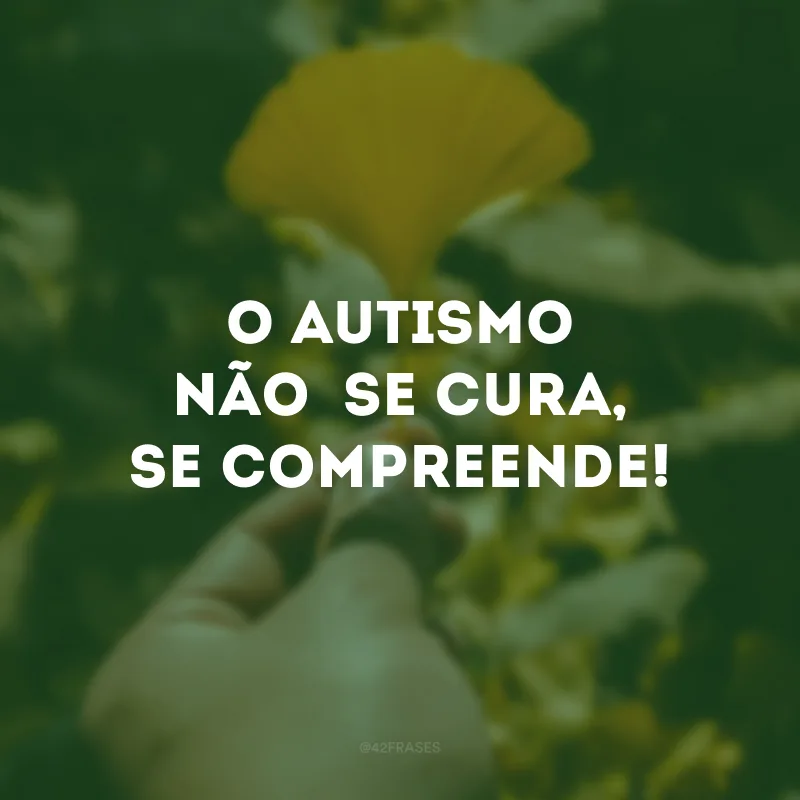 O autismo não se cura, se compreende!