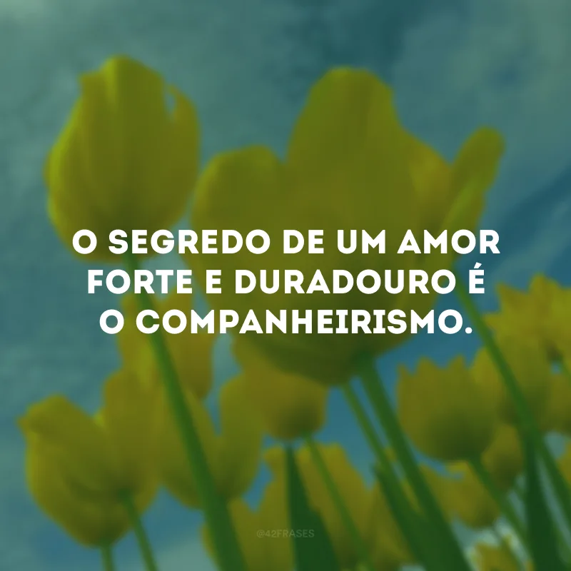 O segredo de um amor forte e duradouro é o companheirismo.