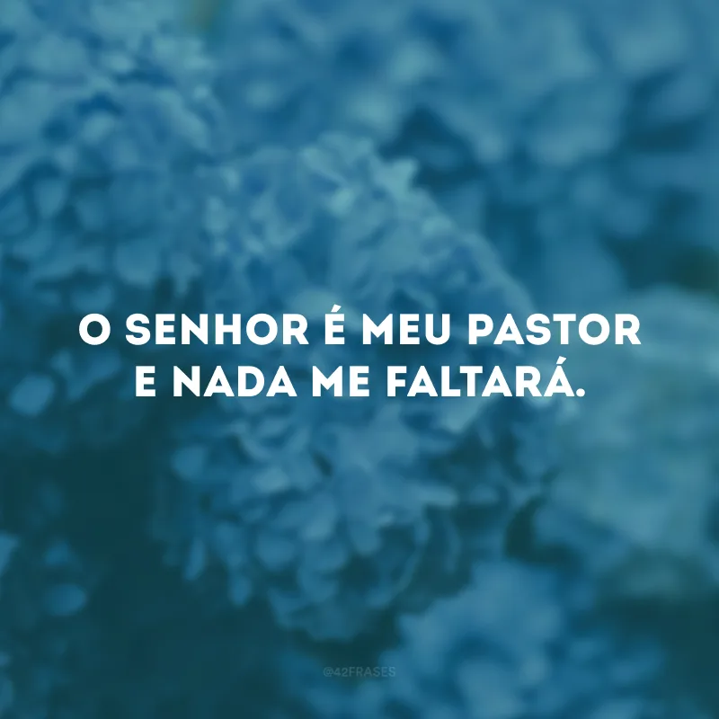O Senhor é meu pastor e nada me faltará. 