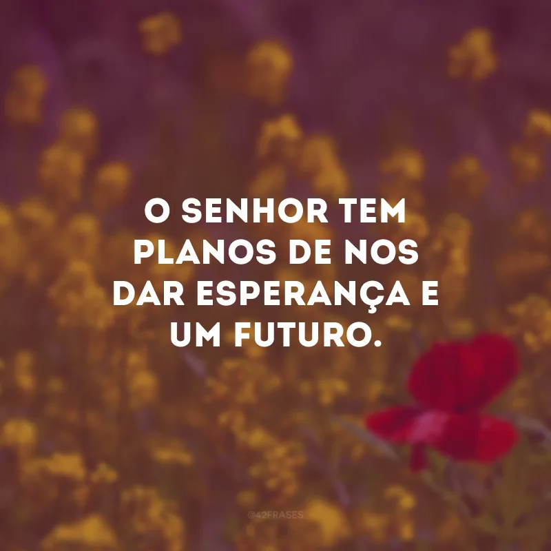 O Senhor tem planos de nos dar esperança e um futuro. 