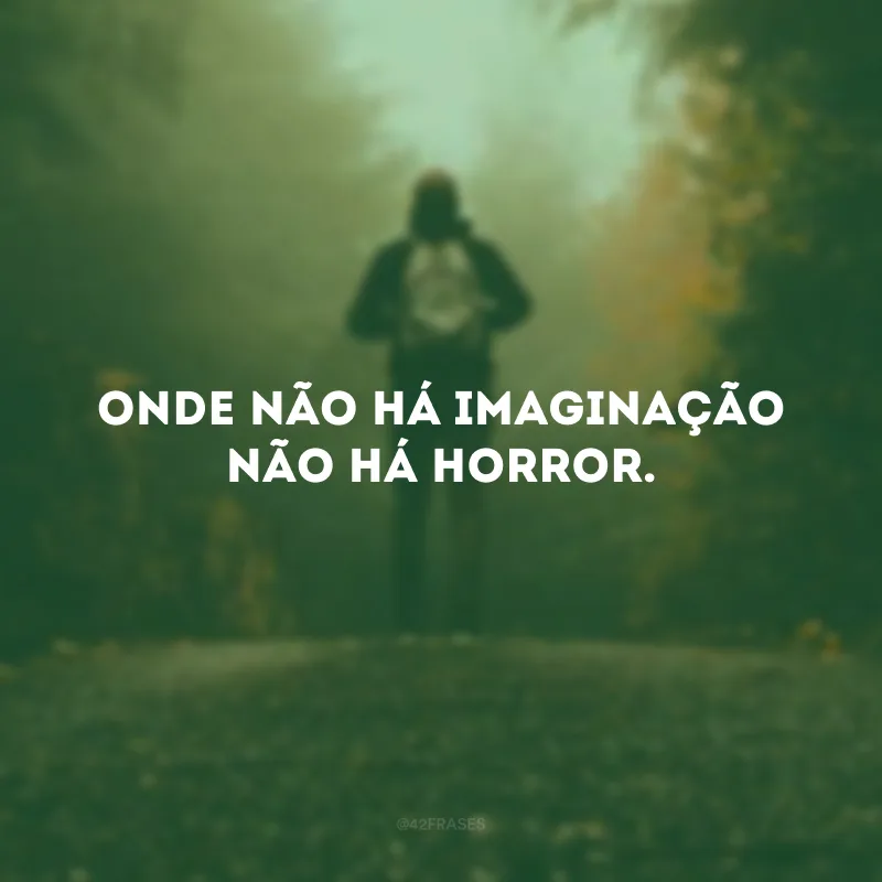 Onde não há imaginação não há horror.