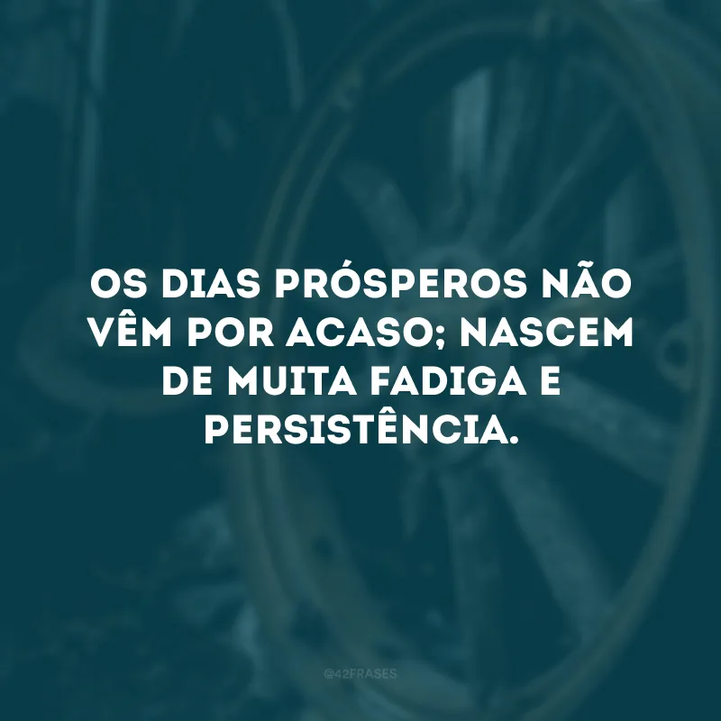 Os dias prósperos não vêm por acaso; nascem de muita fadiga e persistência.