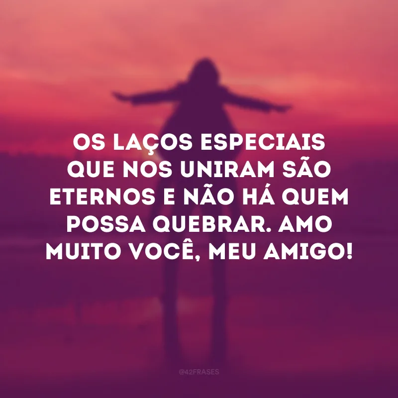 Os laços especiais que nos uniram são eternos e não há quem possa quebrar. Amo muito você, meu amigo! 