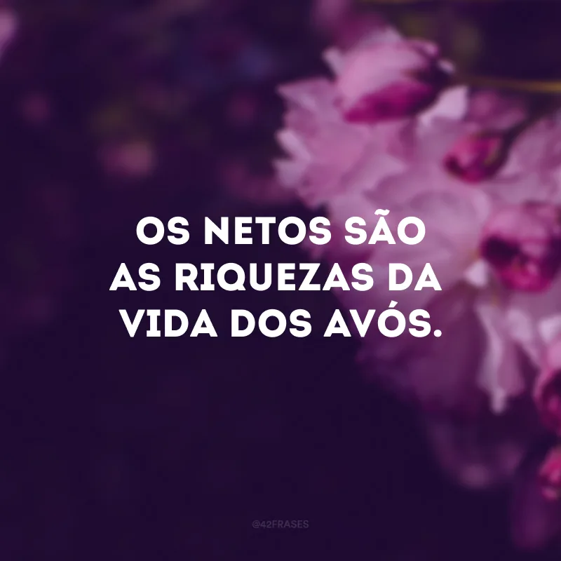 Os netos são as riquezas da vida dos avós.
