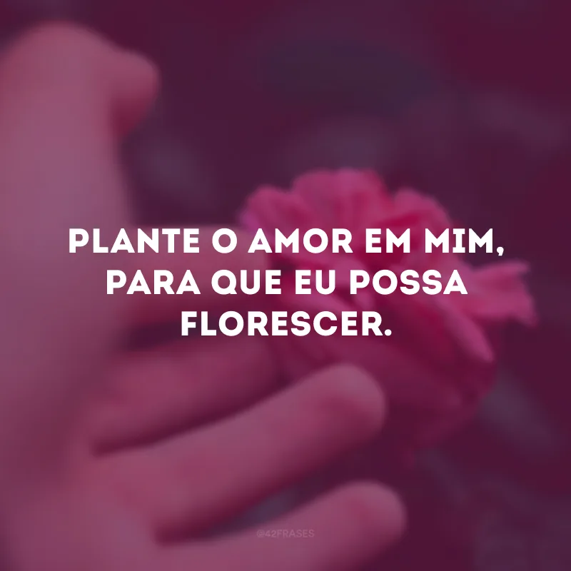 Plante o amor em mim, para que eu possa florescer. 