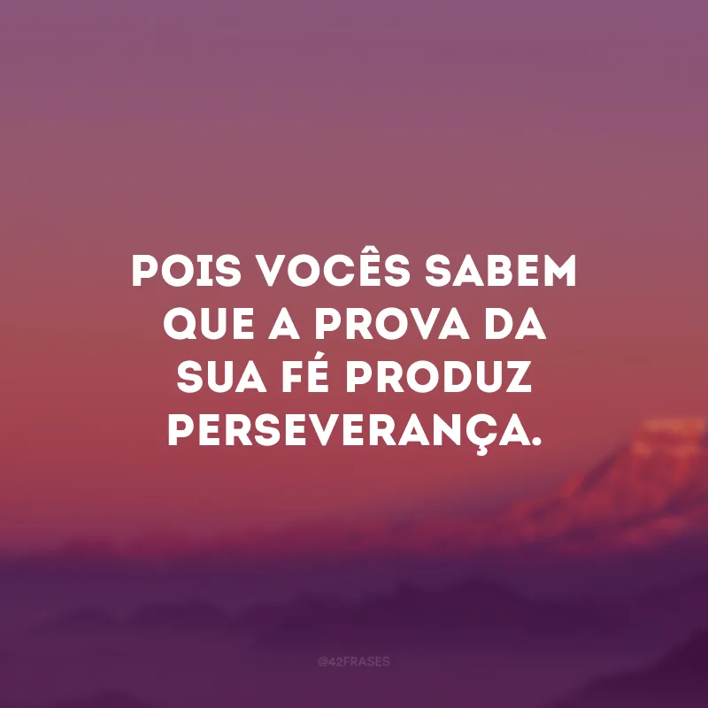Pois vocês sabem que a prova da sua fé produz perseverança.
