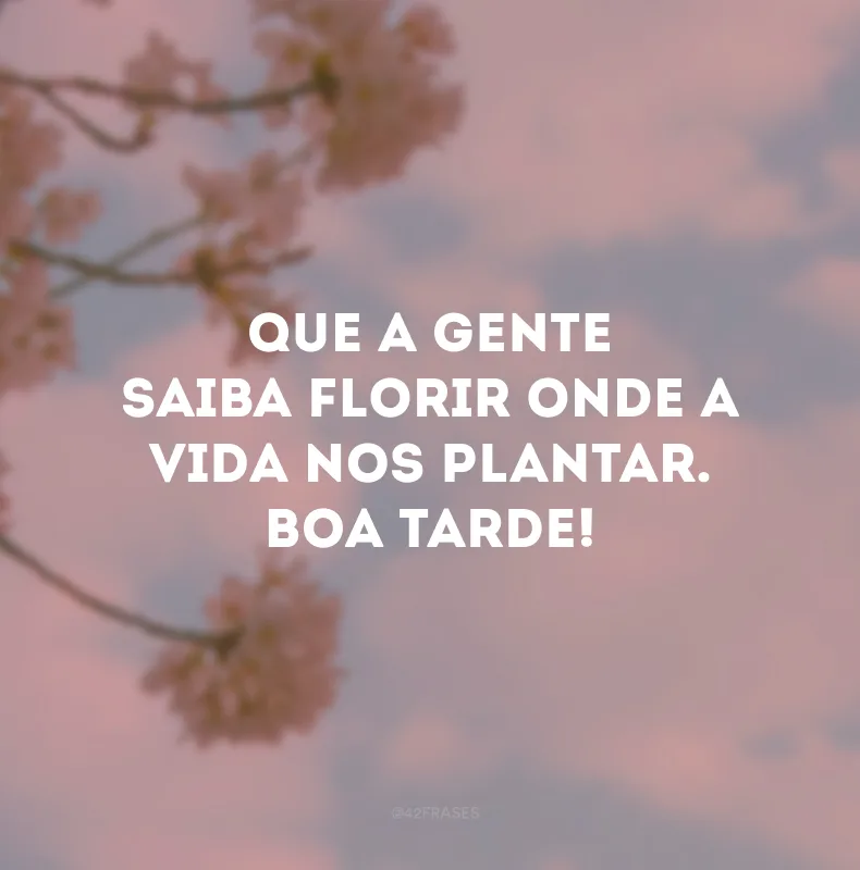 Que a gente saiba florir onde a vida nos plantar. Boa tarde!