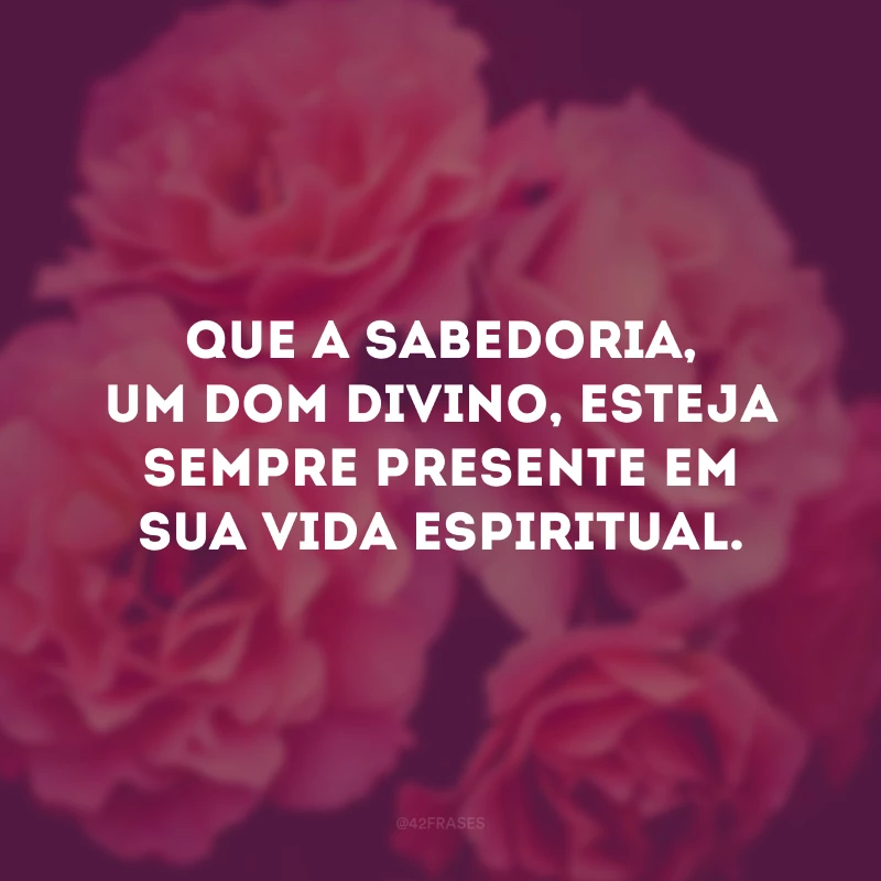 Que a sabedoria, um dom divino, esteja sempre presente em sua vida espiritual. 
