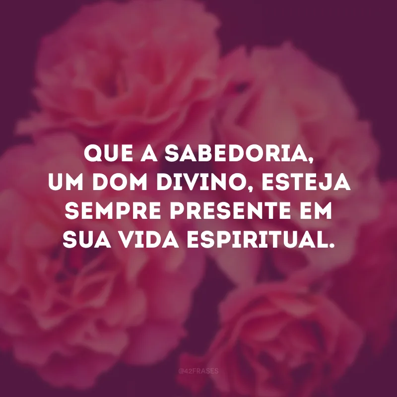 Que a sabedoria, um dom divino, esteja sempre presente em sua vida espiritual. 