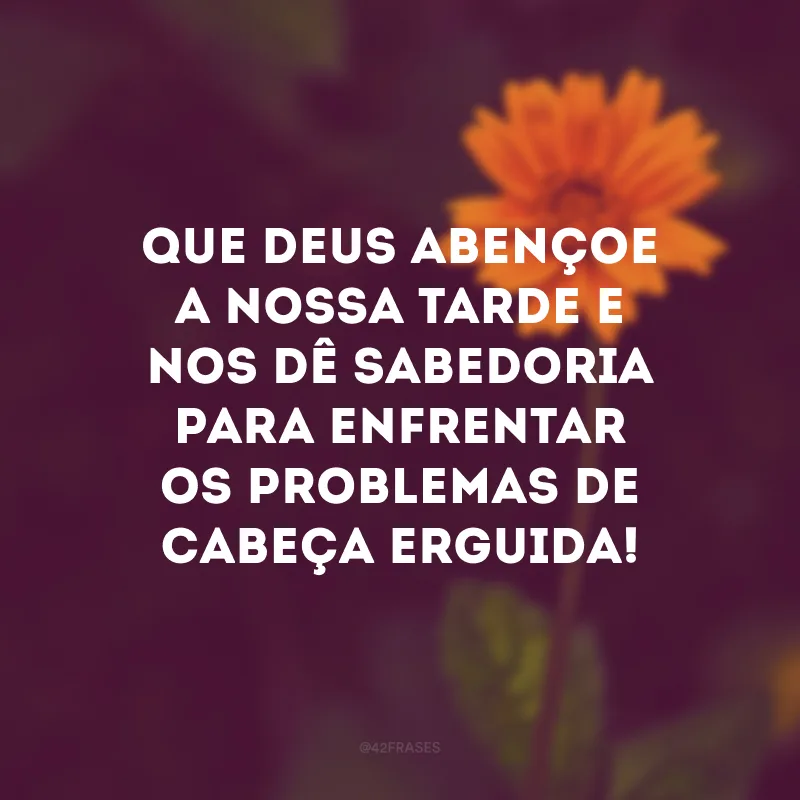Que Deus abençoe a nossa tarde e nos dê sabedoria para enfrentar os problemas de cabeça erguida!