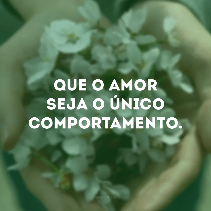 Que o amor seja o único comportamento.