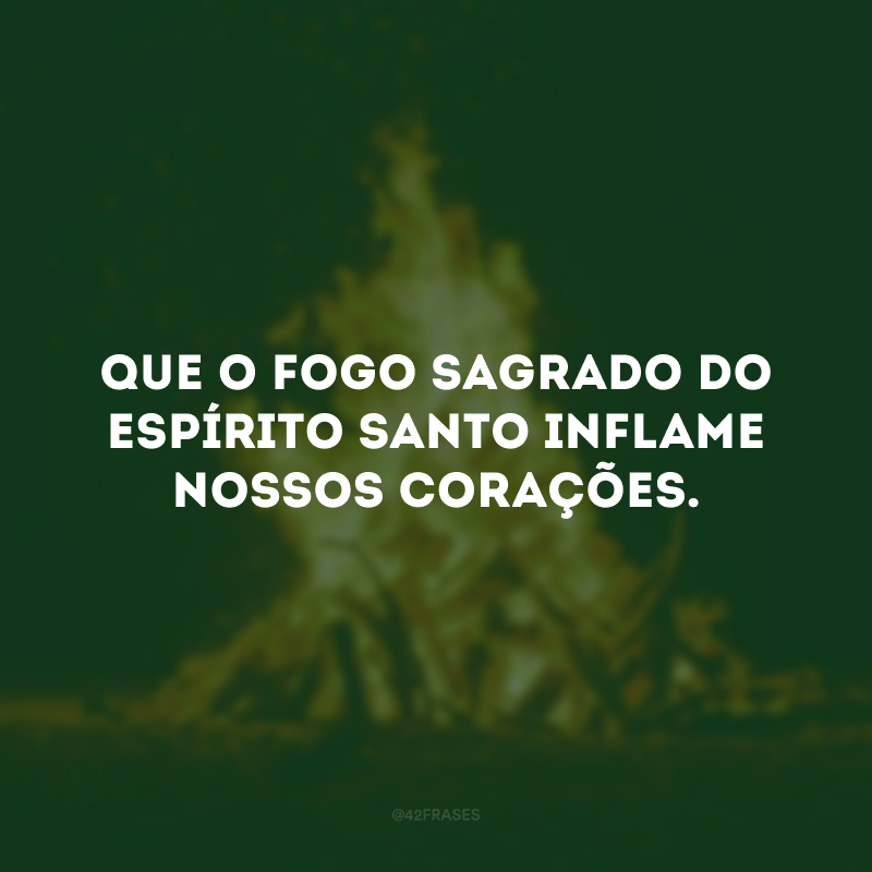 Que o fogo sagrado do Espírito Santo inflame nossos corações. 