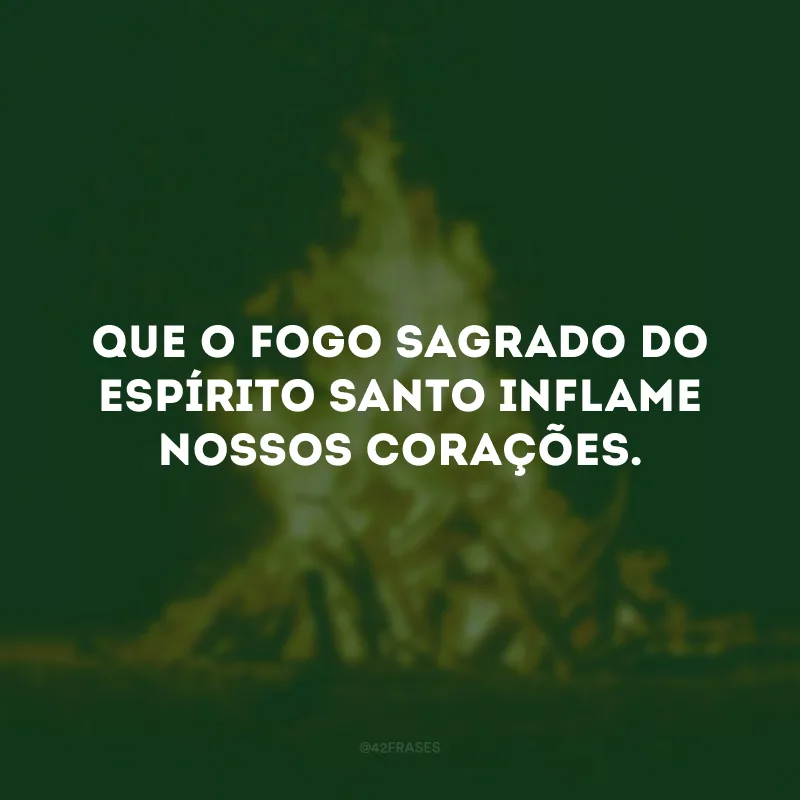 Que o fogo sagrado do Espírito Santo inflame nossos corações. 
