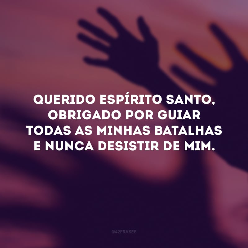 Querido Espírito Santo, obrigado por guiar todas as minhas batalhas e nunca desistir de mim. 