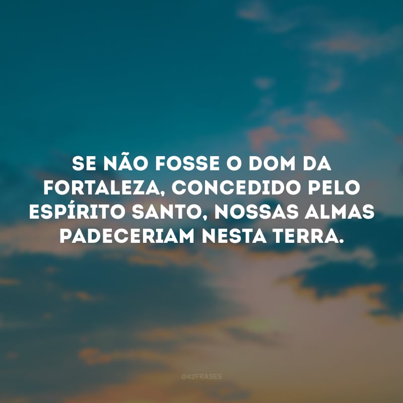 Se não fosse o dom da fortaleza, concedido pelo Espírito Santo, nossas almas padeceriam nesta terra.