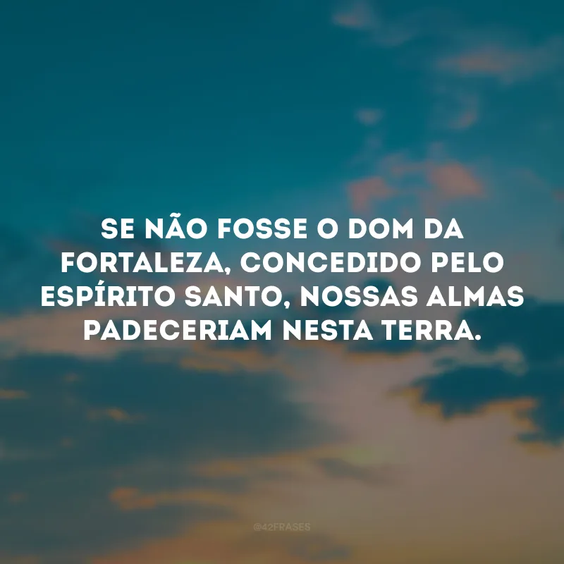 Se não fosse o dom da fortaleza, concedido pelo Espírito Santo, nossas almas padeceriam nesta terra.