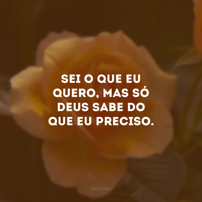 Sei o que eu quero, mas só Deus sabe do que eu preciso. 