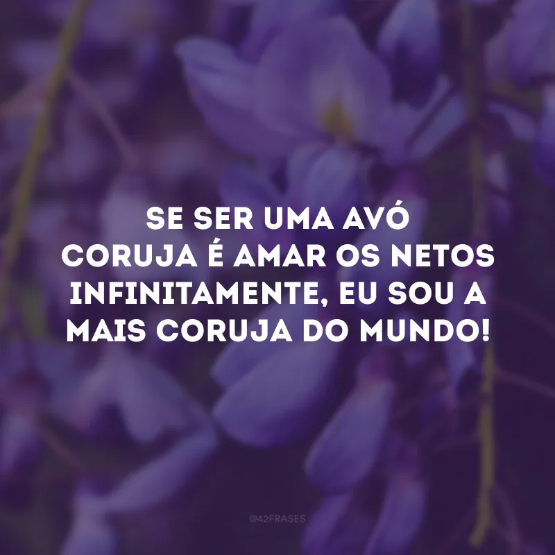 Se ser uma avó coruja é amar os netos infinitamente, eu sou a mais coruja do mundo!