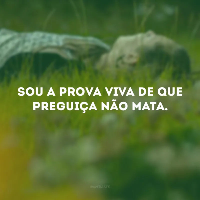 Sou a prova viva de que preguiça não mata. 