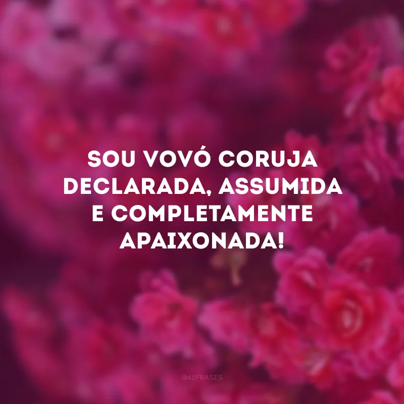 Sou vovó coruja declarada, assumida e completamente apaixonada!