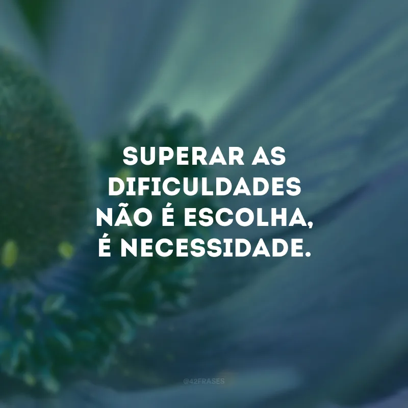Superar as dificuldades não é escolha, é necessidade.