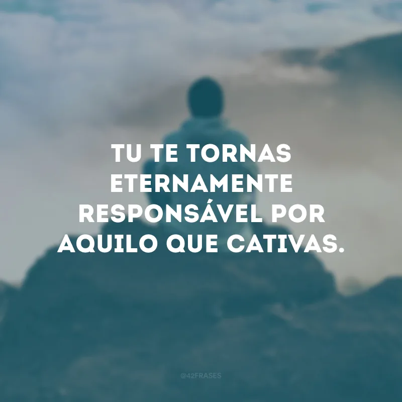 Tu te tornas eternamente responsável por aquilo que cativas. 