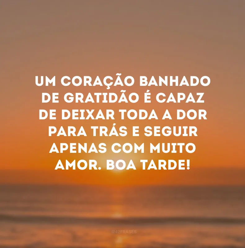 Um coração banhado de gratidão é capaz de deixar toda a dor para trás e seguir apenas com muito amor. Boa tarde!