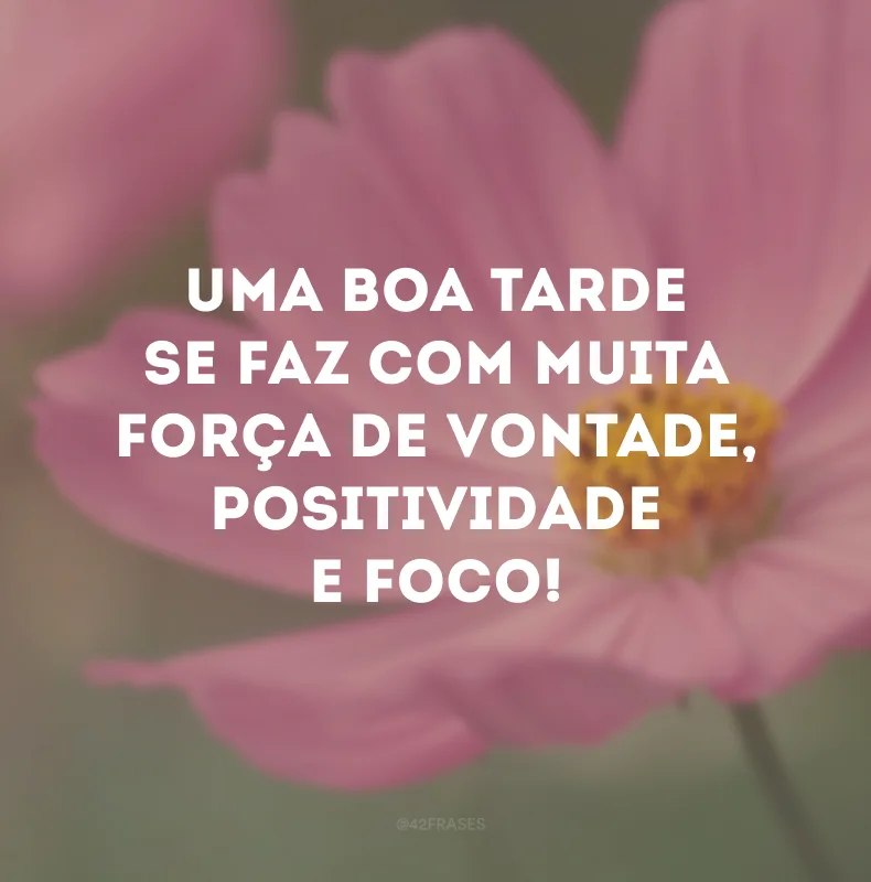 Uma boa tarde se faz com muita força de vontade, positividade e foco!