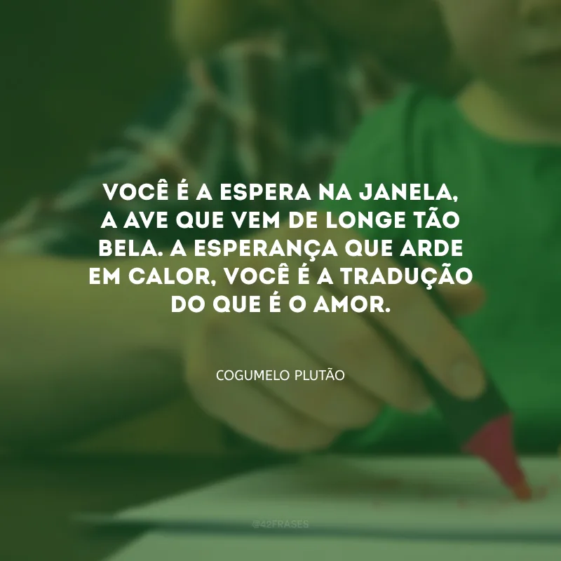 Você é a espera na janela, a ave que vem de longe tão bela. A esperança que arde em calor, você é a tradução do que é o amor.