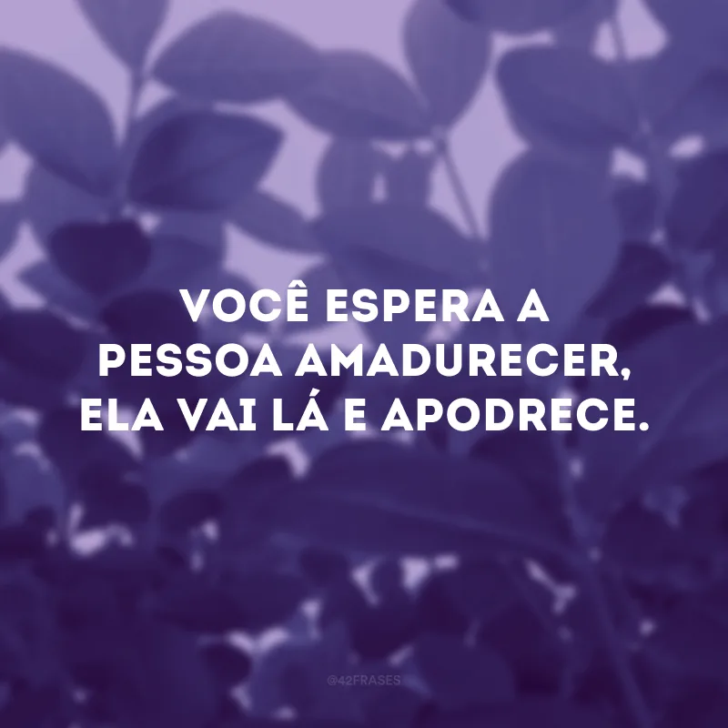 Você espera a pessoa amadurecer, ela vai lá e apodrece. 