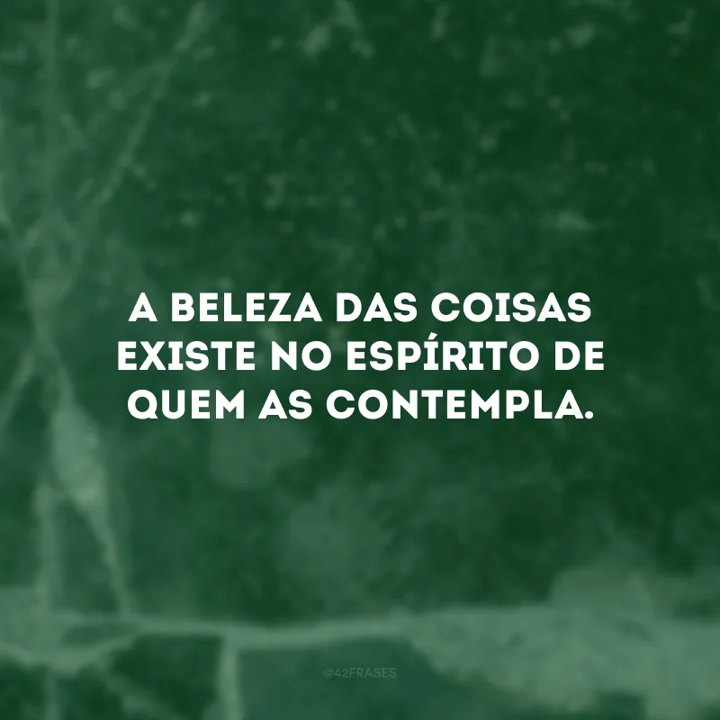 A beleza das coisas existe no espírito de quem as contempla. 