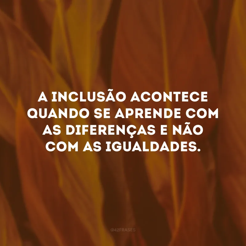 A inclusão acontece quando se aprende com as diferenças e não com as igualdades.