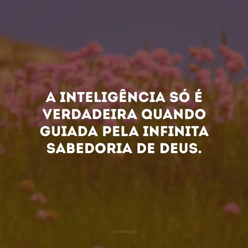 A inteligência só é verdadeira quando guiada pela infinita sabedoria de Deus.