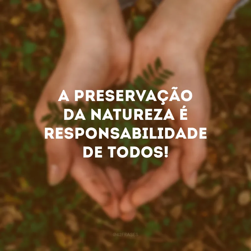 A preservação da natureza é responsabilidade de todos!
