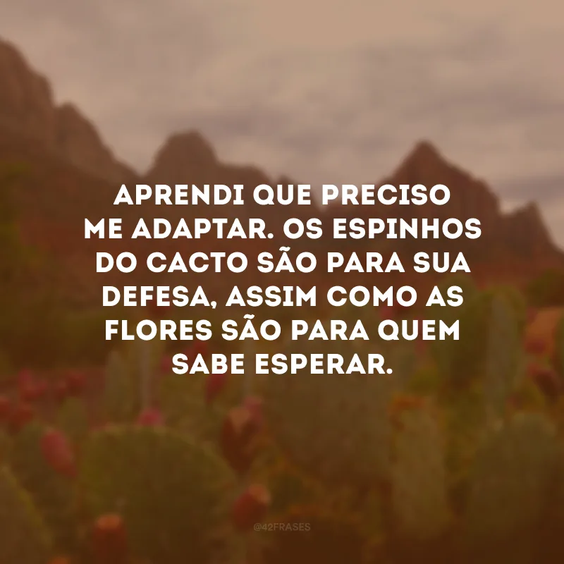 Aprendi que preciso me adaptar. Os espinhos do cacto são para sua defesa, assim como as flores são para quem sabe esperar.