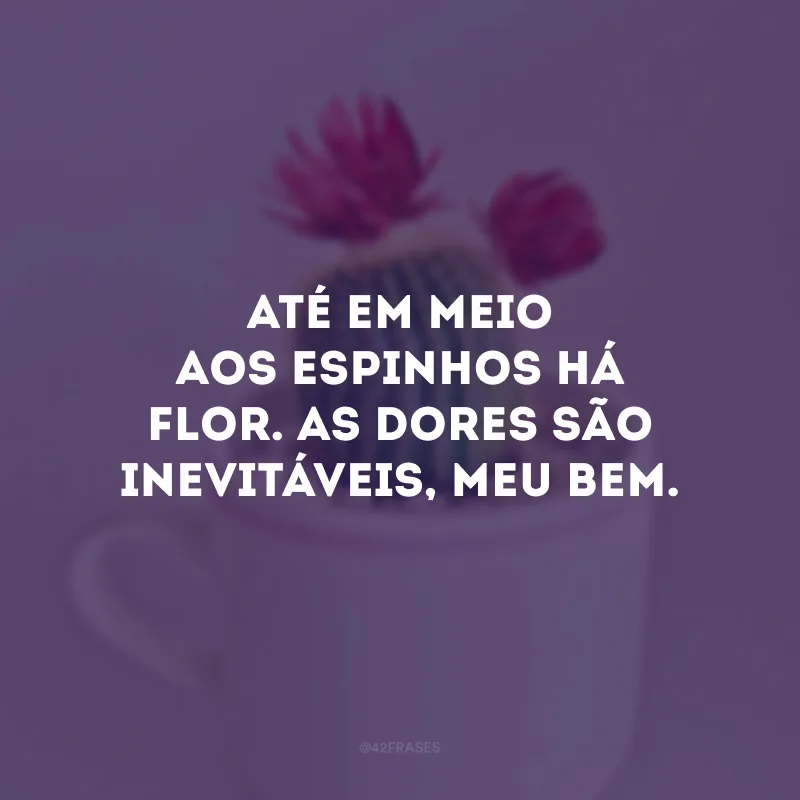 Até em meio aos espinhos há flor. As dores são inevitáveis, meu bem.
