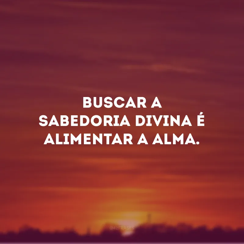 Buscar a sabedoria divina é alimentar a alma.