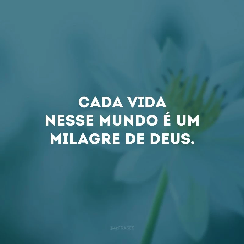 Cada vida nesse mundo é um milagre de Deus.