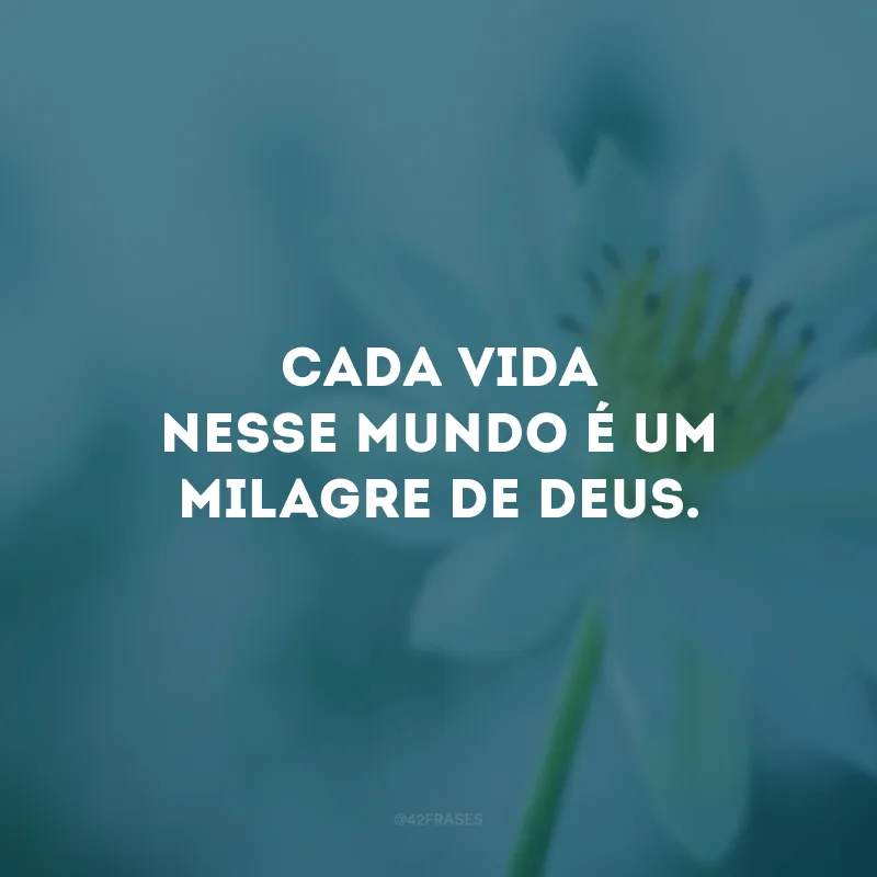 Cada vida nesse mundo é um milagre de Deus.