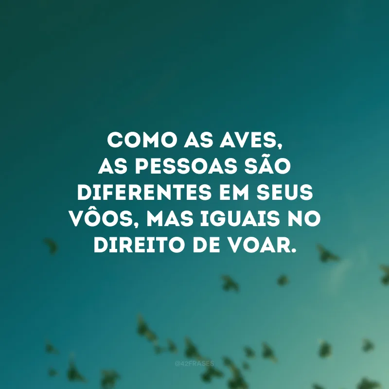 Como as aves, as pessoas são diferentes em seus vôos, mas iguais no direito de voar.