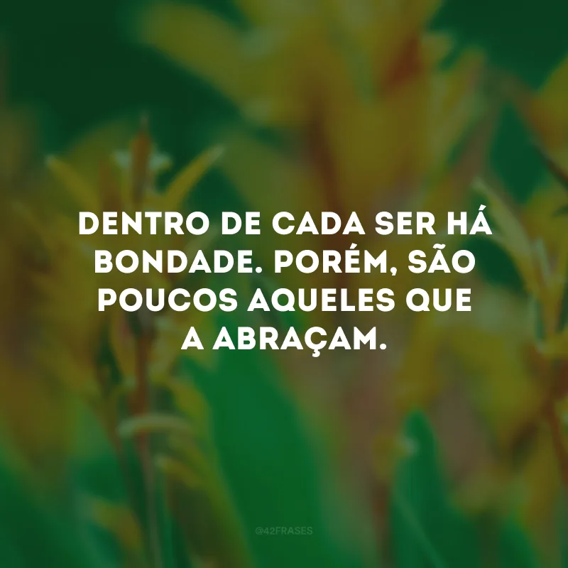 Dentro de cada ser há bondade. Porém, são poucos aqueles que a abraçam. 