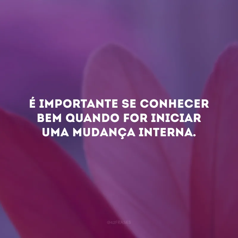 É importante se conhecer bem quando for iniciar uma mudança interna. 