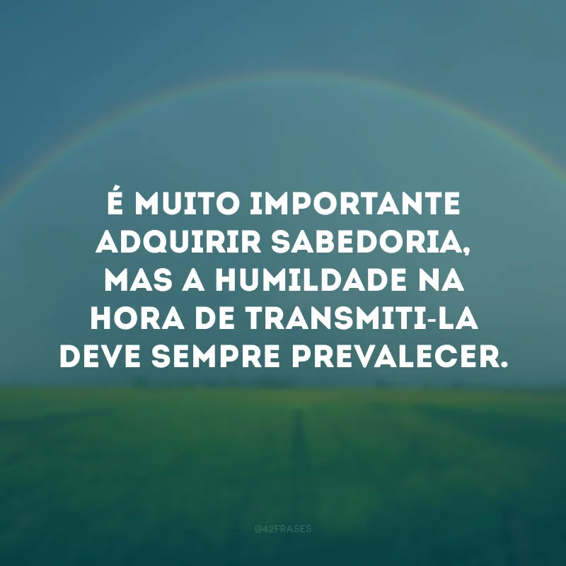 É muito importante adquirir sabedoria, mas a humildade na hora de transmiti-la deve sempre prevalecer.