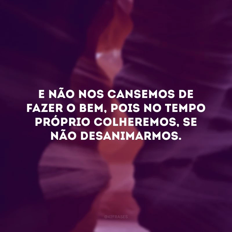 E não nos cansemos de fazer o bem, pois no tempo próprio colheremos, se não desanimarmos.