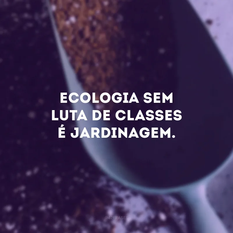 Ecologia sem luta de classes é jardinagem.